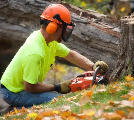 tree services Port Huron